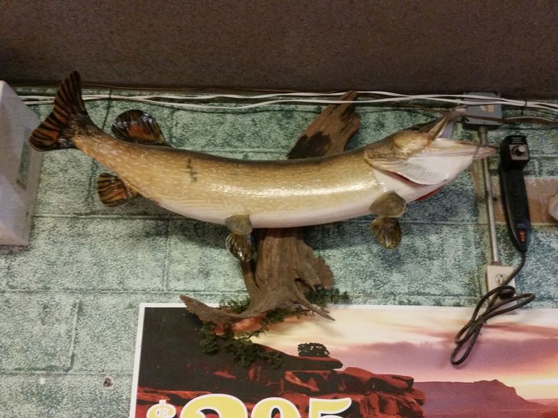 Bait, Groceries, and Trophy Photos