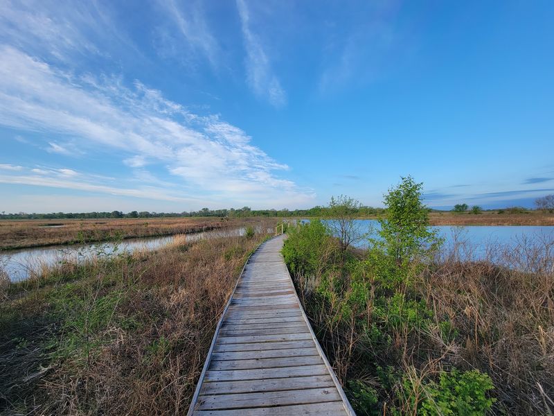 Baker University Wetlands, Lawrence, Kansas