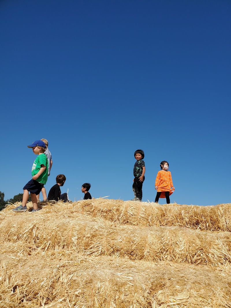 Balloon Art, Glitter, and Hay Climbing