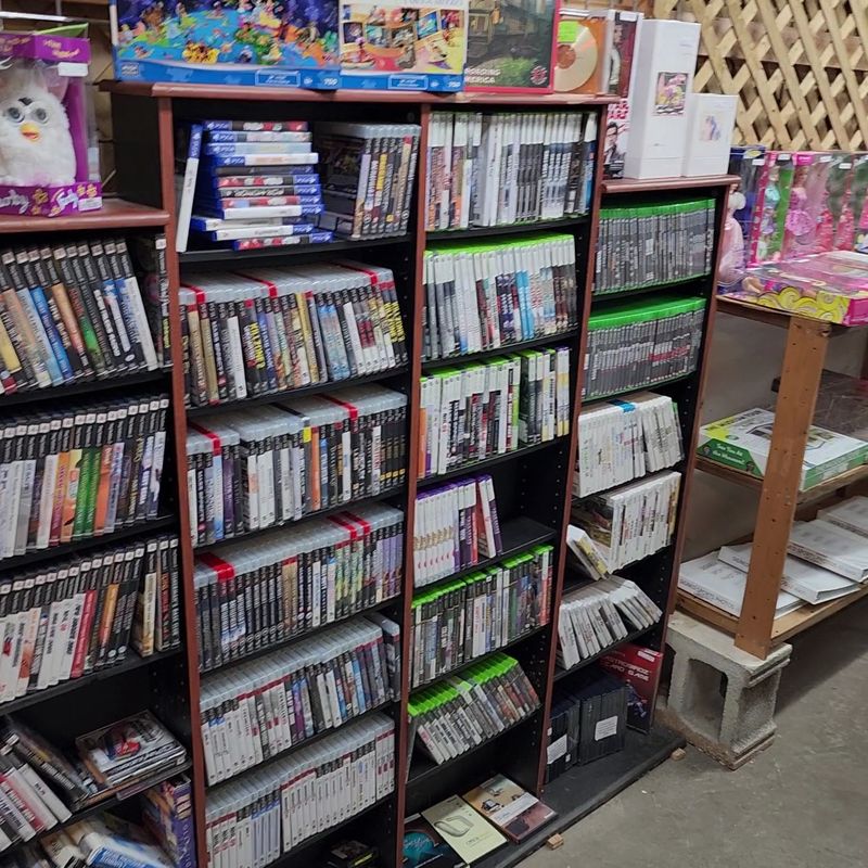 Bargain Bins and Budget Wins Bargain Bins and Budget Wins