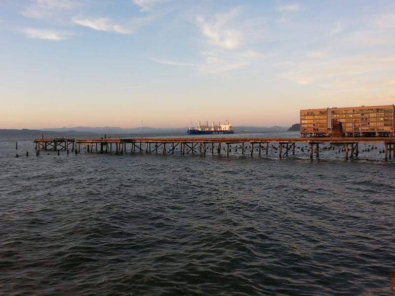 Barking Neighbors on the Docks