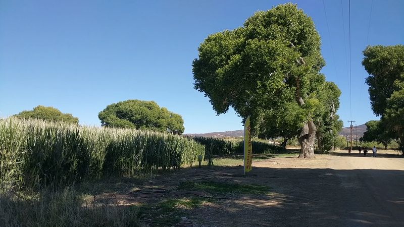 Barn Dances and Farm Celebrations