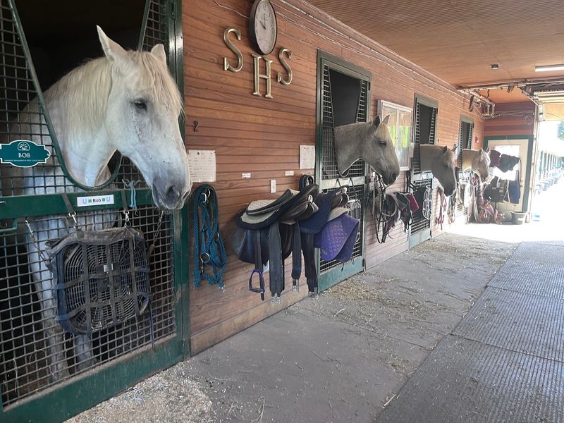 Barn Time Beyond the Saddle Barn Time Beyond the Saddle