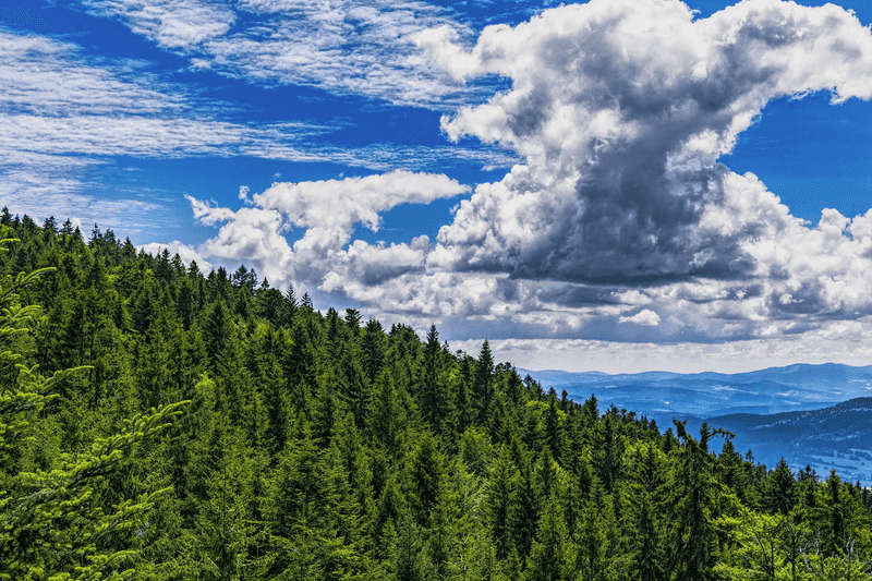 Bavarian Forest, Germany Bavarian Forest, Germany