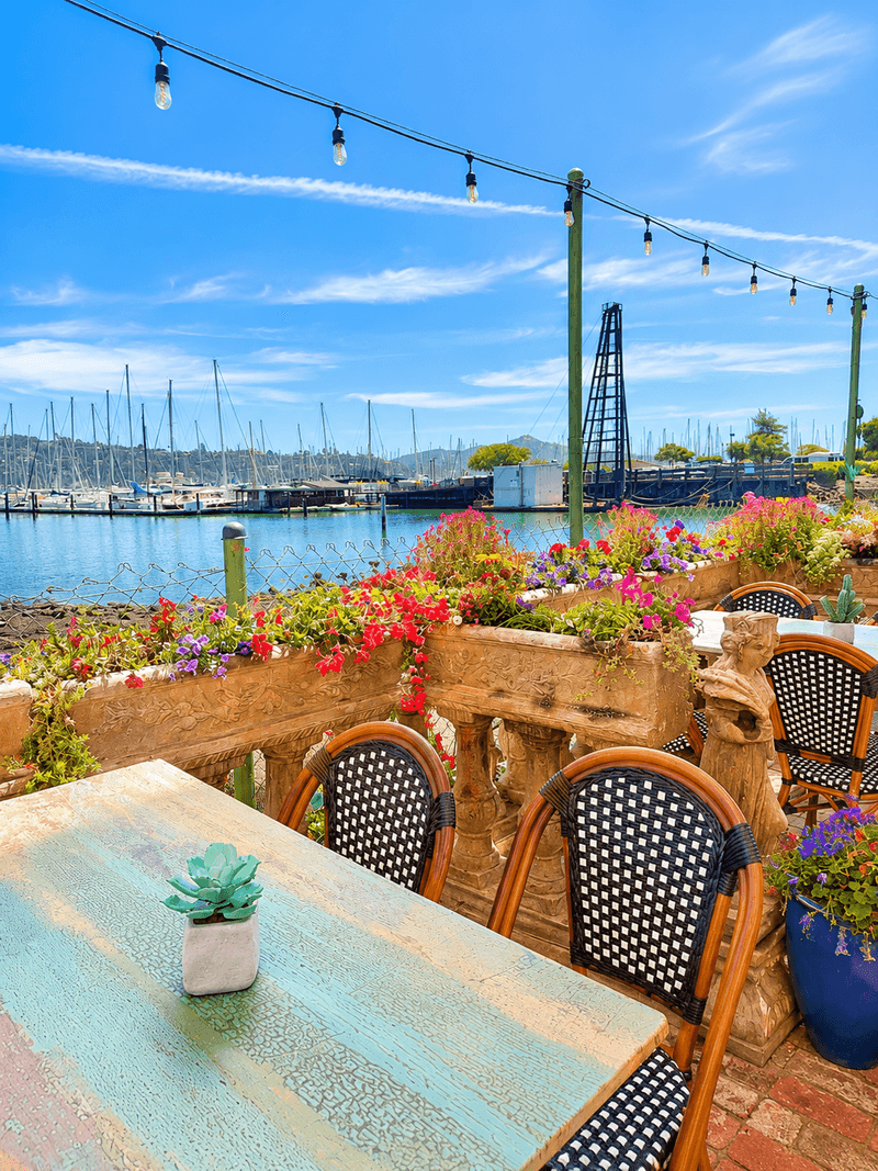 Bay Views That Steal the Show