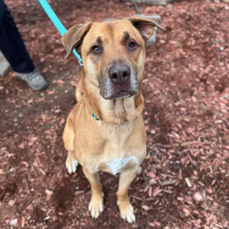 Baypath Humane Society, Hopkinton, MA Baypath Humane Society, Hopkinton, MA