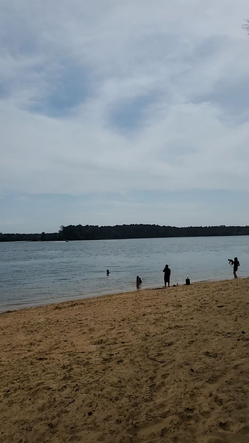 Beaches, Swimming, and Picnic Tables Beaches, Swimming, and Picnic Tables