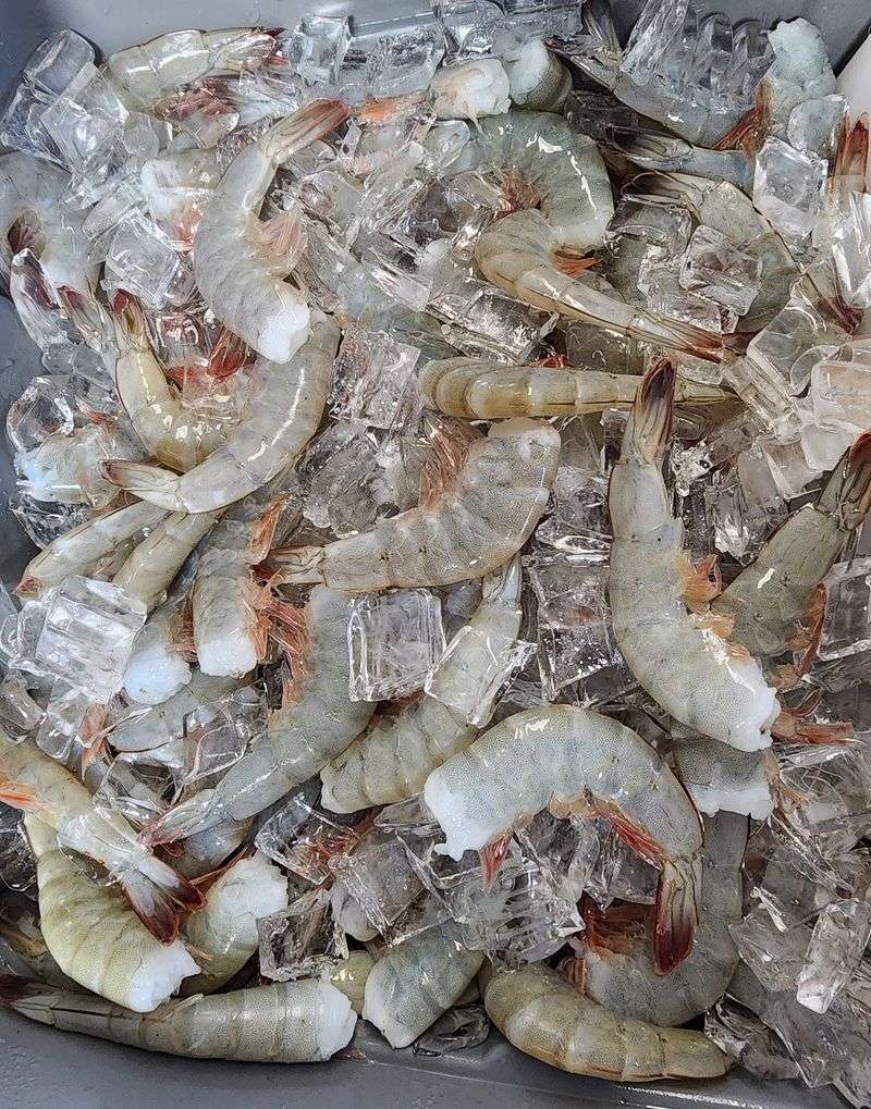 Beacon One Seafood market, Supply, NC