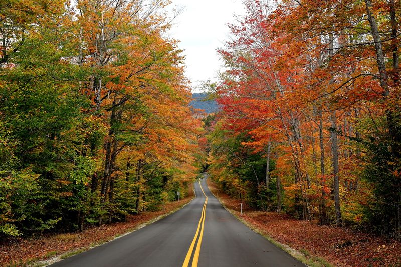 Bear Notch, Bartlett, New Hampshire Bear Notch, Bartlett, New Hampshire