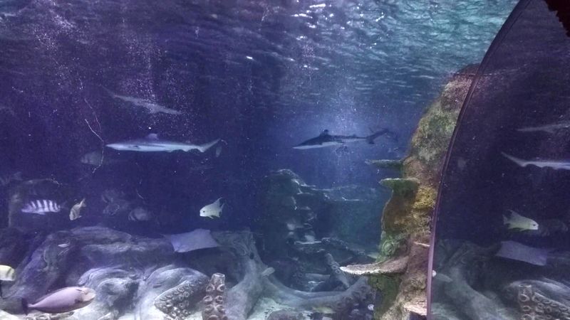 Behind the Scenes With the Keepers