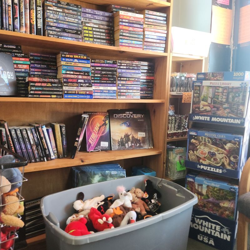 Beyond Books: DVDs, Puzzles, and Collectibles