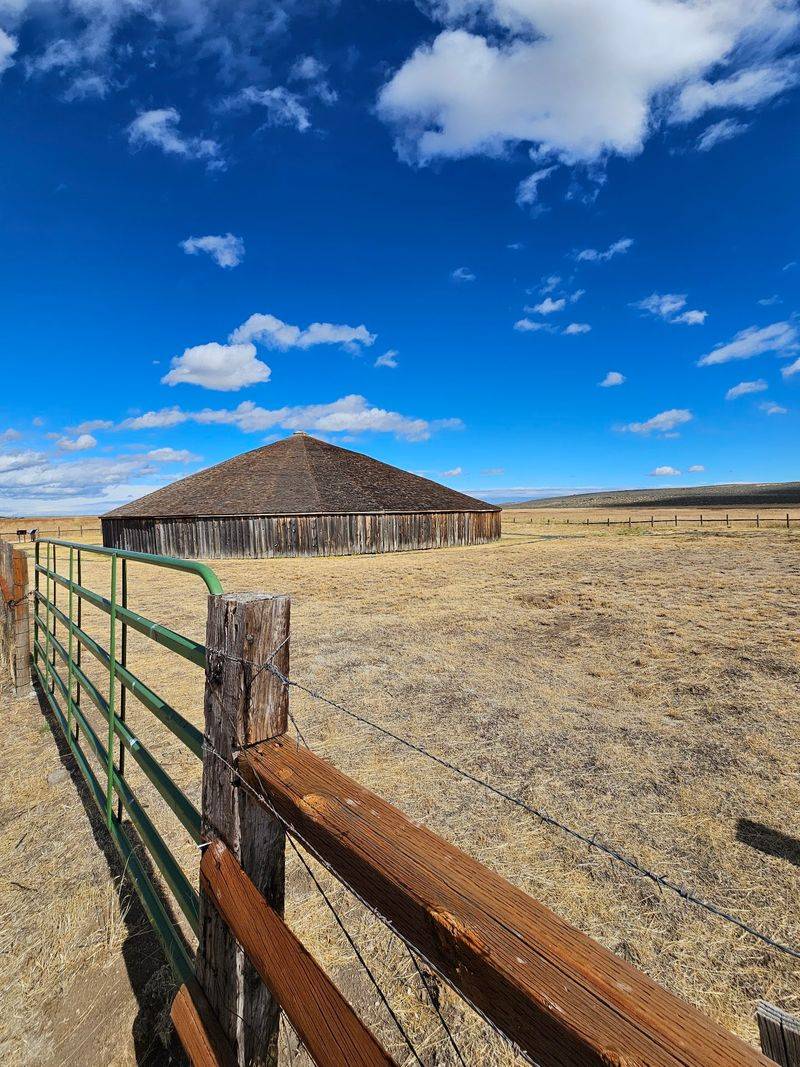 Big Sky, Birds, and Zero Crowds