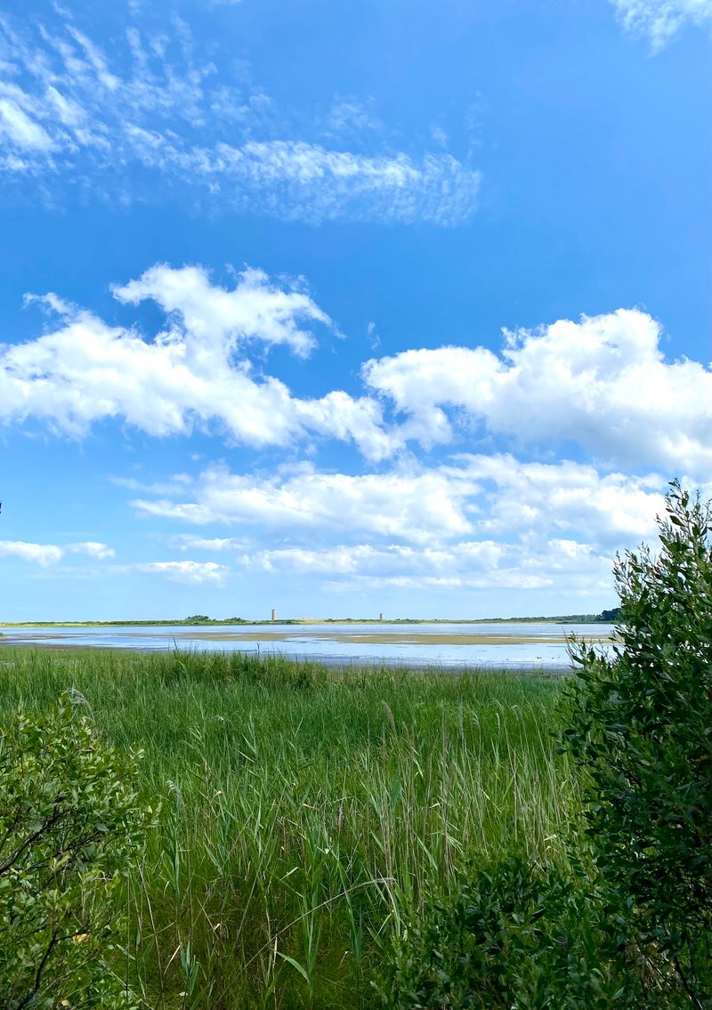 Big Views of Pond, Dune, and Sea Big Views of Pond, Dune, and Sea