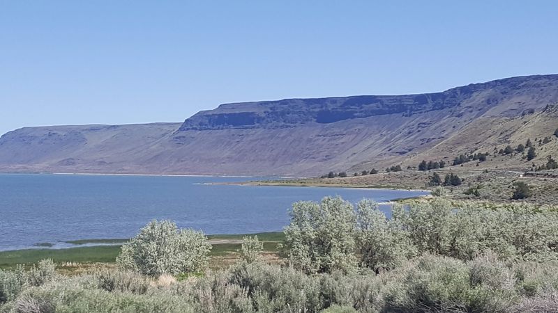 Bighorn Country Along Abert Rim