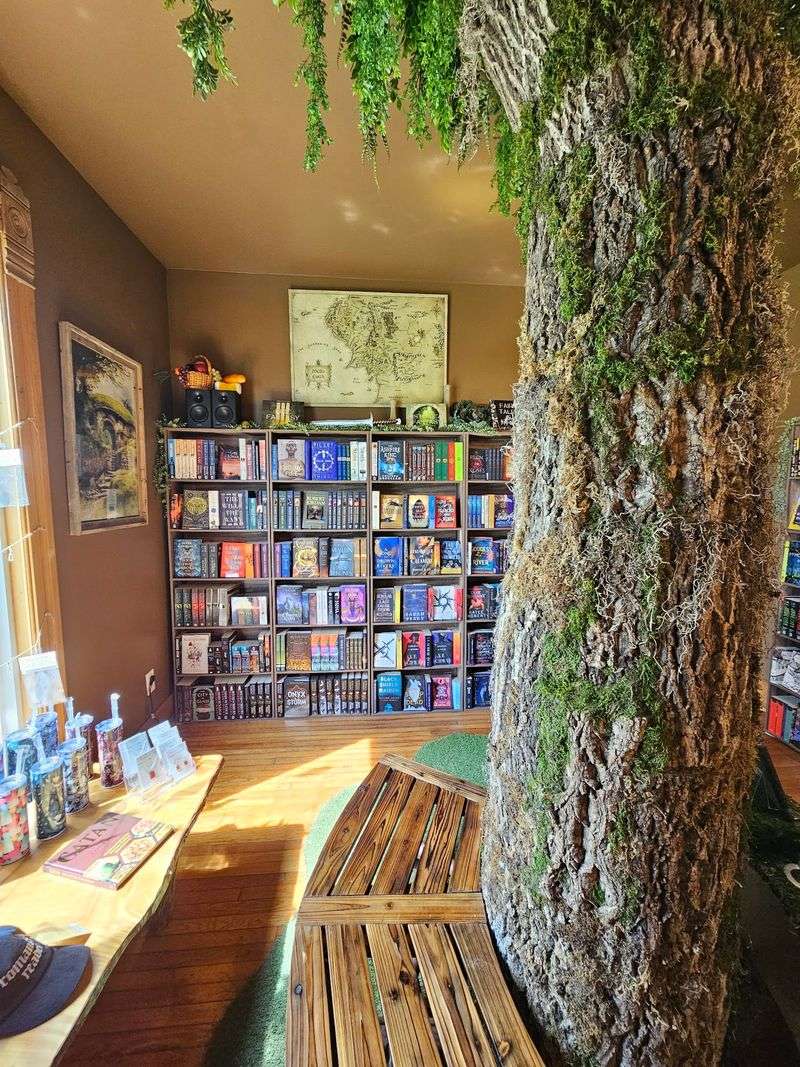 Black Cat Books & Oddities, Medina, OH