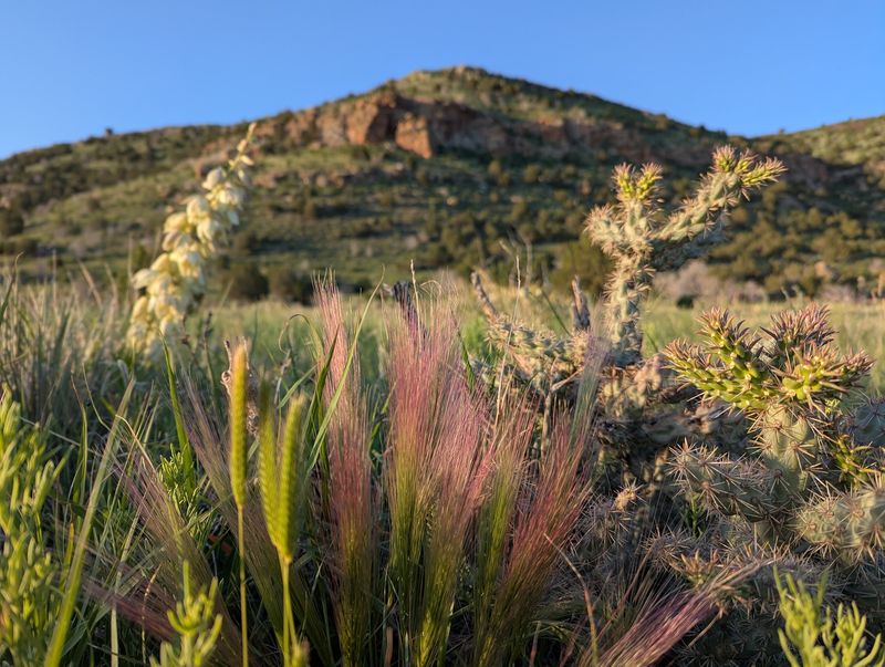 Black Mesa Preserve, Kenton, OK