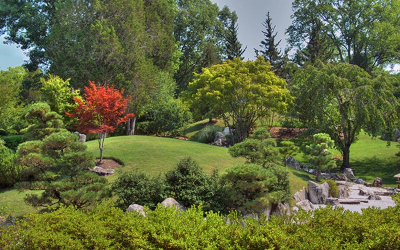 Blevins Japanese Garden, Nashville, TN