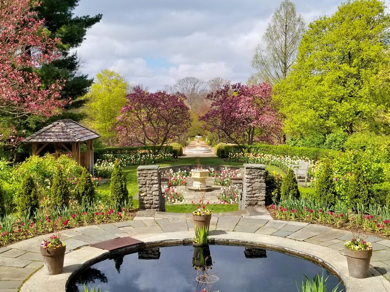 Blooms That Change With Every Season