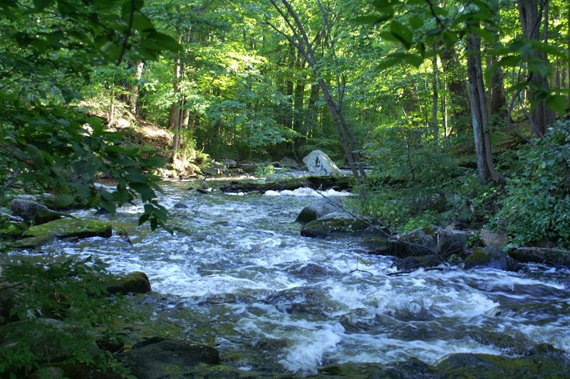 Blue Blazes And Waterfalls Along The Black River Blue Blazes And Waterfalls Along The Black River