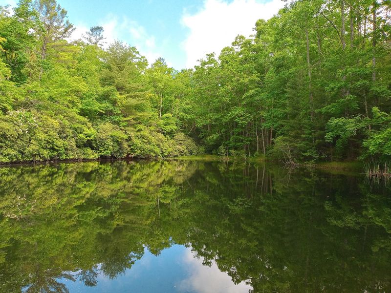 Blue Ridge Views and Peaceful Ponds