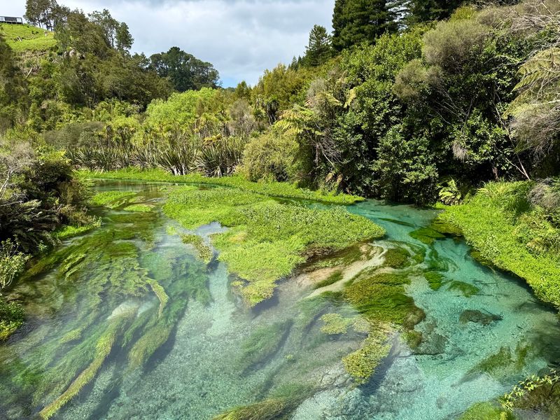 Blue Spring at Te Waihou, New Zealand