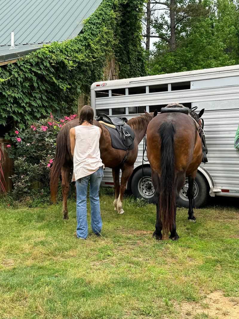 Boarding For Horses And Trailers Boarding For Horses And Trailers