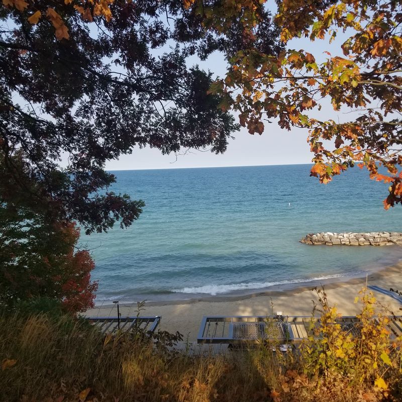 Boardwalk Strolls and Wooden Seating