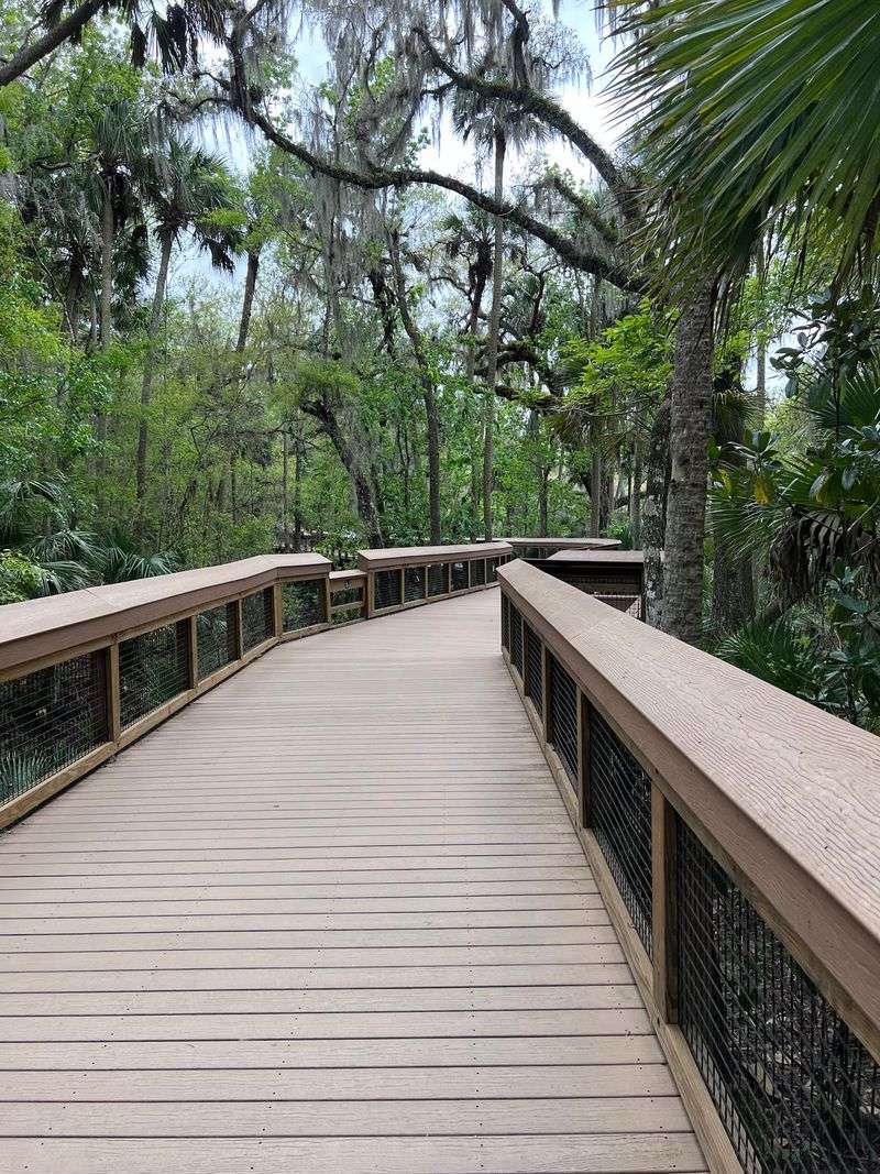 Boardwalk Views That Do the Work for You Boardwalk Views That Do the Work for You