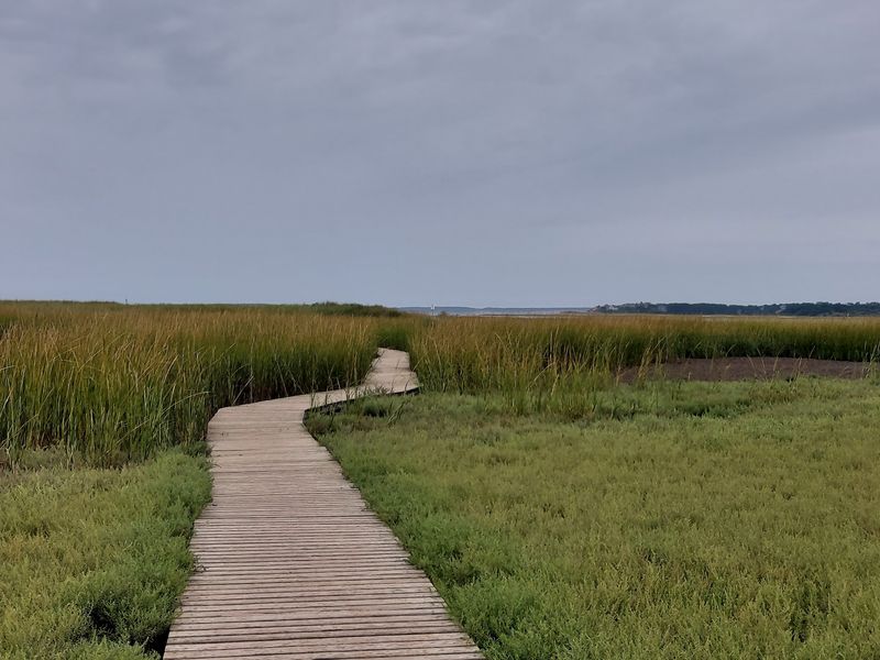 Boardwalks Over the Salt Marsh