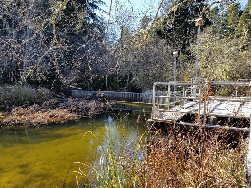 Boat Ramp and Easy Water Access Boat Ramp and Easy Water Access