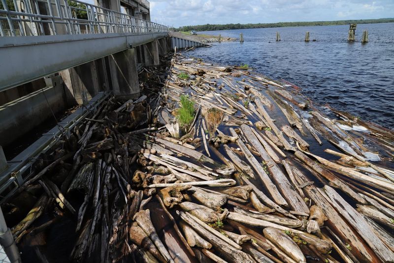 Boat Ramps, Stumps, and Smart Planning Boat Ramps, Stumps, and Smart Planning