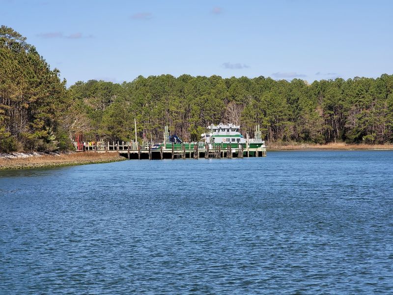 Boat Tours and Dolphin Watching