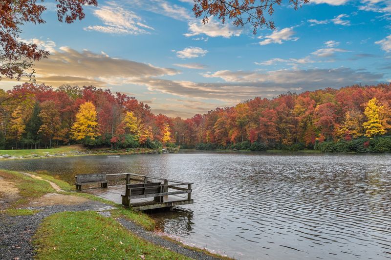 Boley Lake Trail, Clifftop, West Virginia