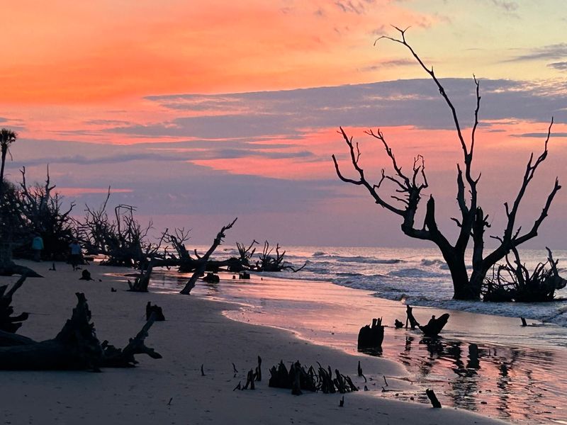 Boneyard Beach