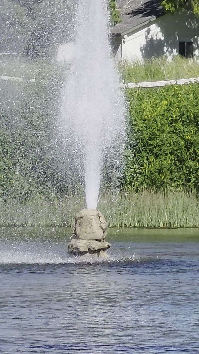 Born From a Well, Not From Nature Born From a Well, Not From Nature