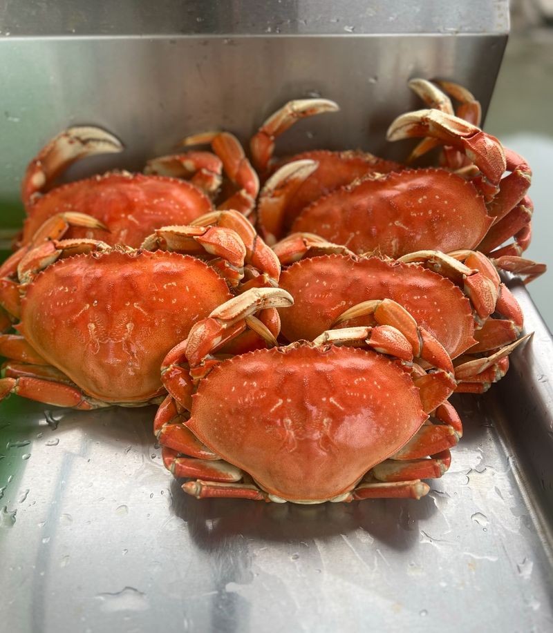 Bounder’s Fresh Crab, Brookings, OR Bounder’s Fresh Crab, Brookings, OR