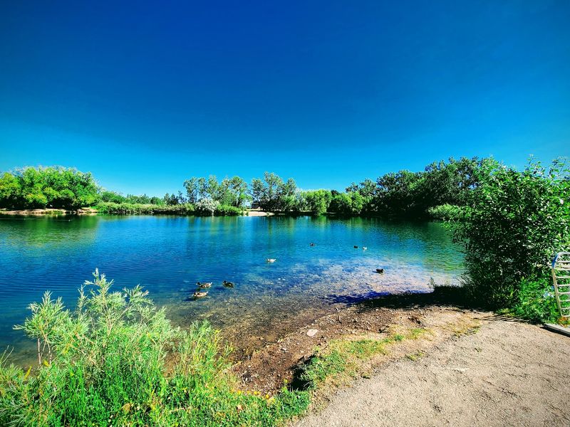Bozeman Pond Park Trails, Bozeman, Montana Bozeman Pond Park Trails, Bozeman, Montana