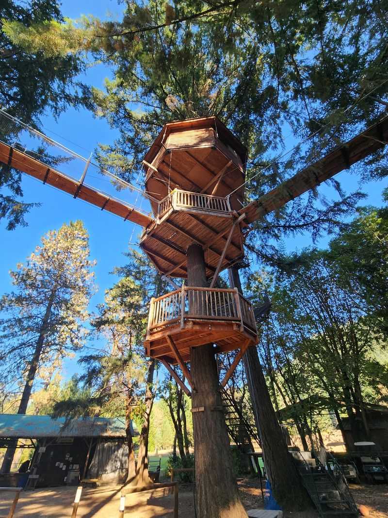 Breakfast Delivered to the Treetops