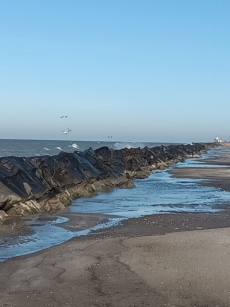 Breakwall Walks and Ship Watching