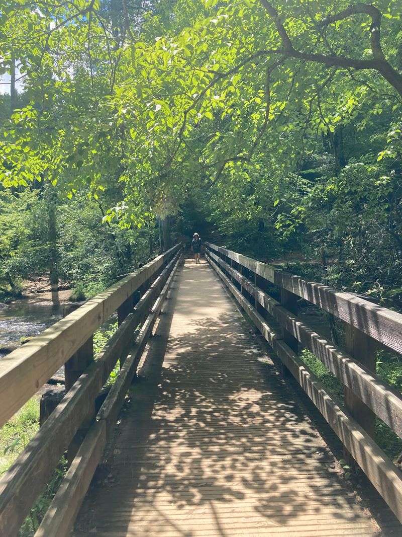 Bridges, Butterflies, and a Midway Ridge View