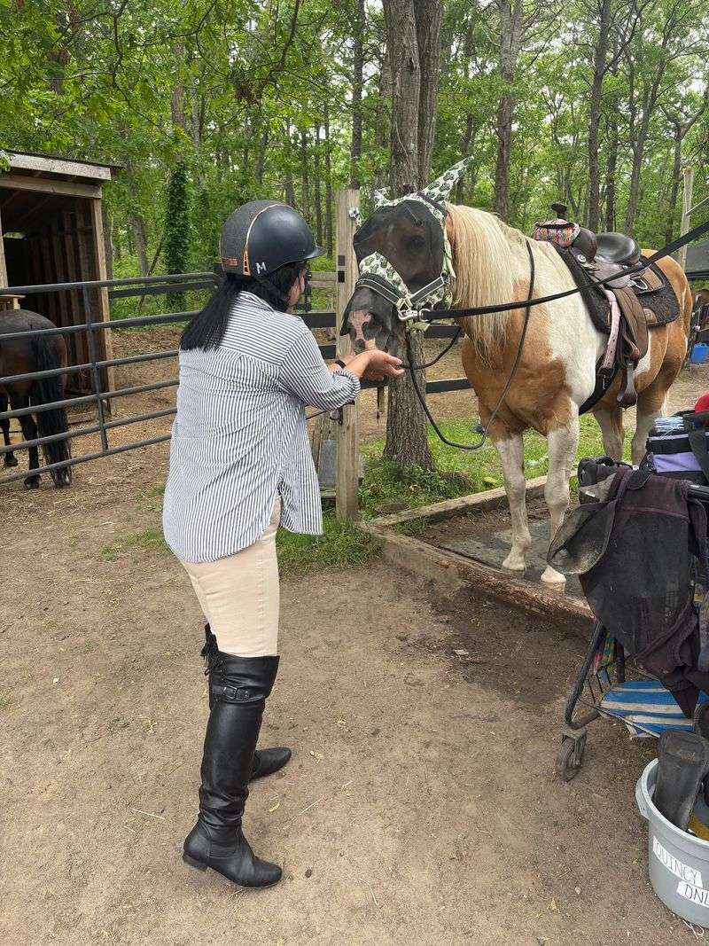 Brushes Before Saddles Brushes Before Saddles