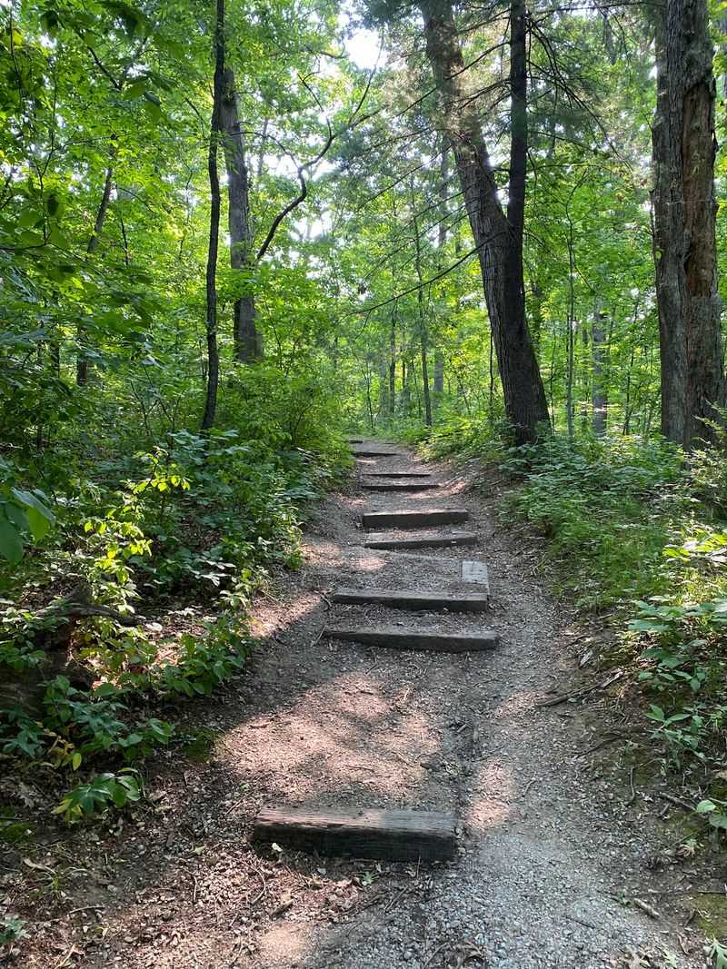 Bug Spray, Shoes, and Other Smart Prep