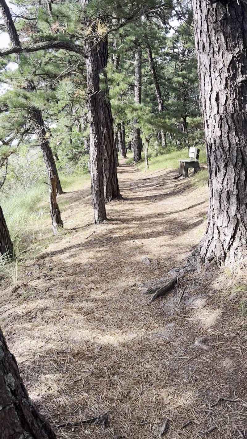 Bugs, Ticks, and Smart Packing