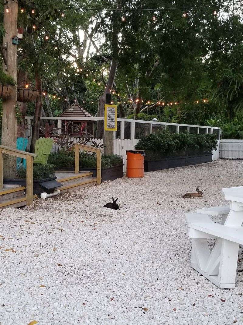Bunnies, Kids, And Other Happy Garden Guests Bunnies, Kids, And Other Happy Garden Guests
