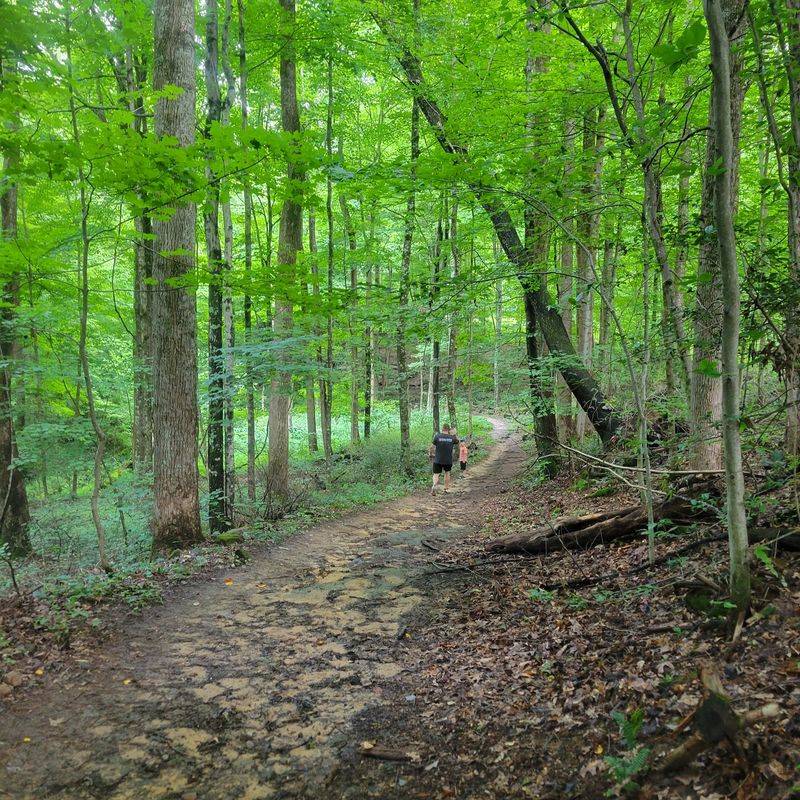 Burnwood Trail, Lansing, West Virginia