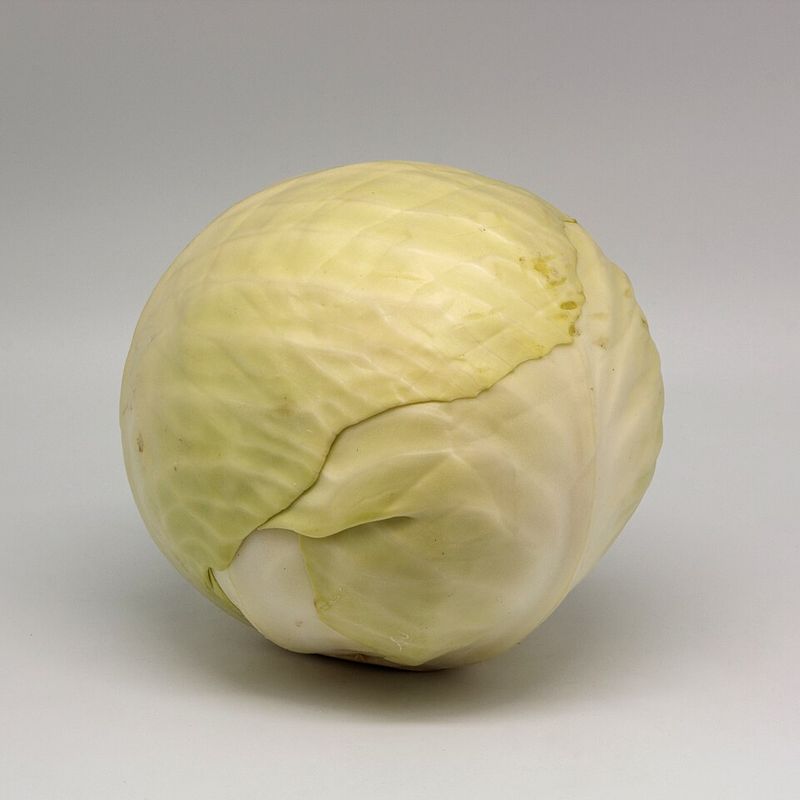 Cabbage