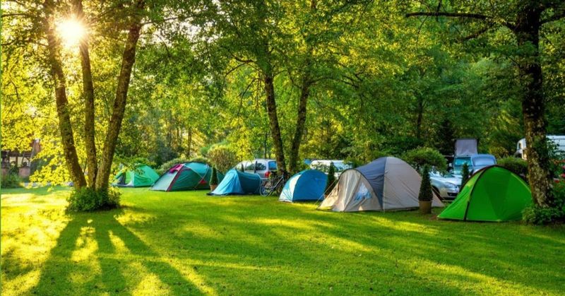 Cabins, Glamping Tents, and Campsites Cabins, Glamping Tents, and Campsites