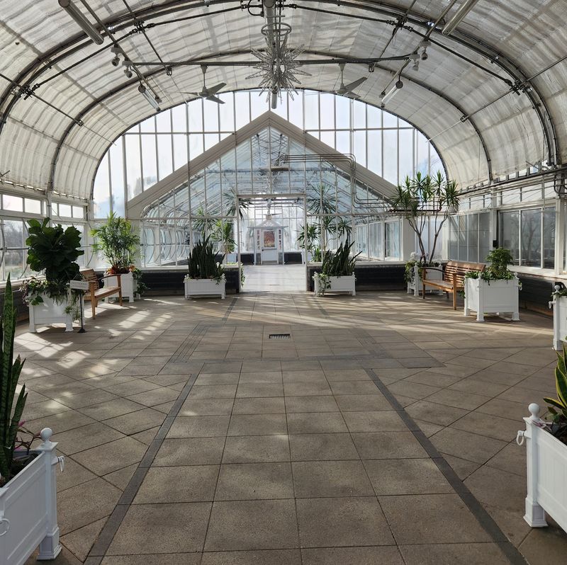 Cacti and the Greenhouse Stop