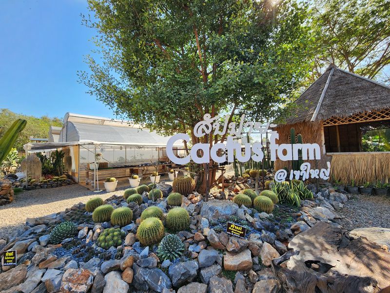 Cactus Farm and Garden Cafe Cactus Farm and Garden Cafe