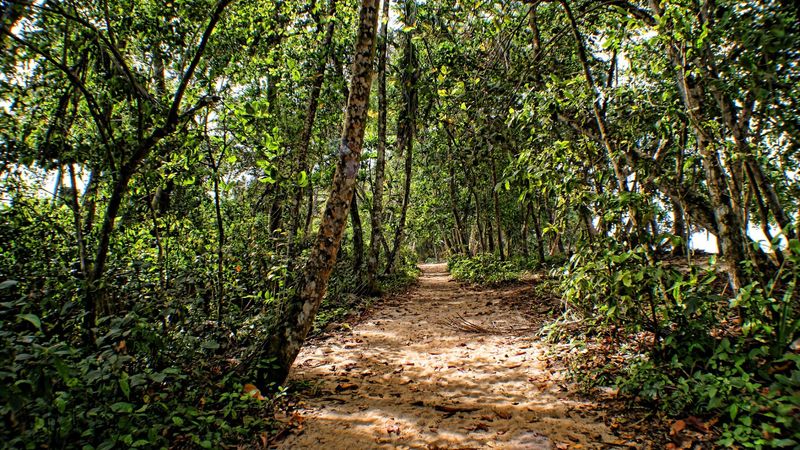 Cahuita National Park – Cahuita Cahuita National Park – Cahuita